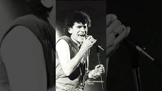 The guitar solo of Manny Charlton lives forever ♥️ Love Hurts - Nazareth #70smusic #nazareth #hits