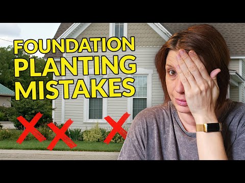 7 Top Foundation Planting Mistakes (& How to Avoid Them)