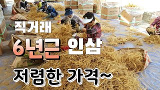 6년근 인삼 산지 직거래  6년근 이 가격이면 진짜 ^^대박^^ 이다  꼭 문자로 주세요 010 -3554-…