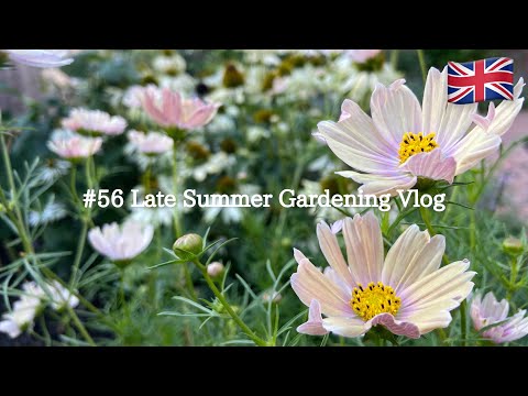 園芸 ケルブルーズの庭 (56)