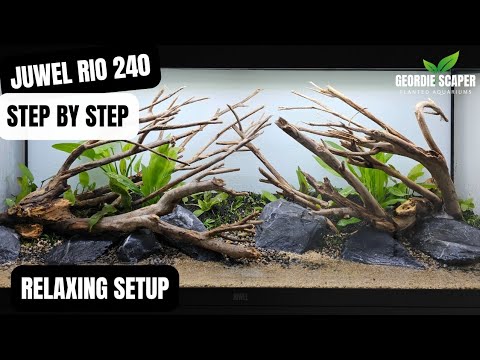 JUWEL RIO 240 PLANTED AQUARIUM SETUP | RELAXING STEP BY STEP VIDEO