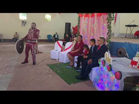 EL ÁNGEL DEL SEÑOR - EN VIVO / JAVIER SALGADO