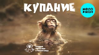 Купание обезьяны в тёплой воде - КУПАНИЕ (Альбом 2025)