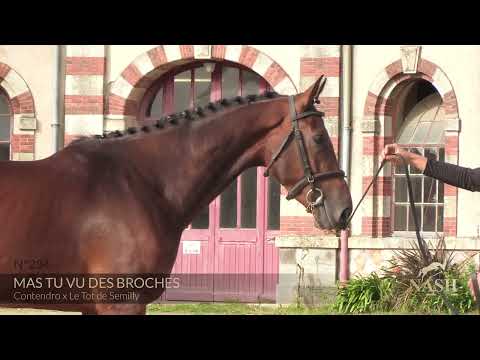 MAS TU VU DES BROCHES