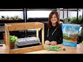 Planting Herb Seeds + Indoor Herb Growing Tips! 🌿💚 // Garden Answer