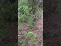 I Like To Move It Move It