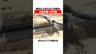 絶対に止まらない列車を止めた唯一の方法
