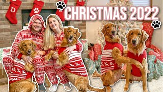 Christmas Morning With Our Golden Retriever Dogs | Greene Family Christmas Special 2022