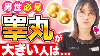【医師が解説】タマがデカい＝勃起力が高い？衝撃の金玉雑学７連発