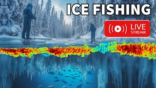 LIVE Ice Fishing 2025: You won't believe what happens at night!