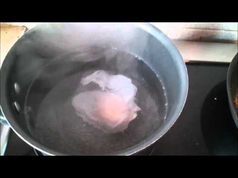 download lagu mp3 mp4 Can You Poach Duck Eggs, download lagu Can You Poach Duck Eggs gratis, unduh video klip Can You Poach Duck Eggs