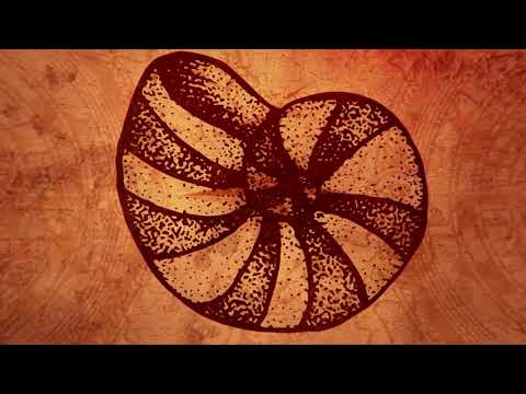 Fathom Farewell - Nameless City (Official Lyric Video)