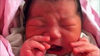 陳逸霖的100日(PC版)