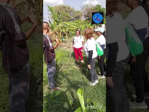 Ambiente "Mi Venezuela Bella" Misión Robinson Cagua estado Aragua viernes productivos