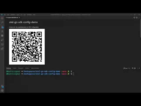 OpenTelemetry Go Configuration Logging Demo