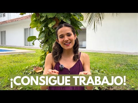 5 Tips para conseguir trabajo como Ingeniero Ambiental👷‍♀️