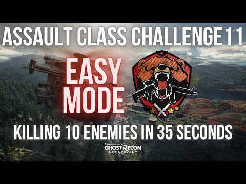 Assault Class Challenge 11 - Killing 10 Enemies in 35 Seconds
