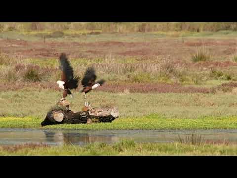 Bitou Birding Festival Canoe Experience 2025