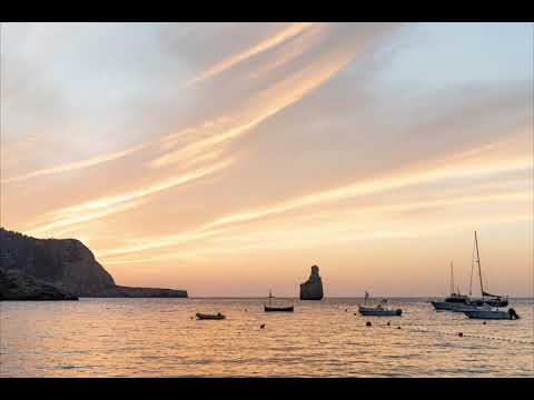 29th 2020 (Microtrauma, D-Nox, Paul Thomas, Kamilo Sanclemente) Melodic Techno & Progressive House