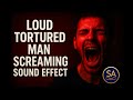 Loud Tortured Man Screaming Sound Effect Intense Horror Scream Audio