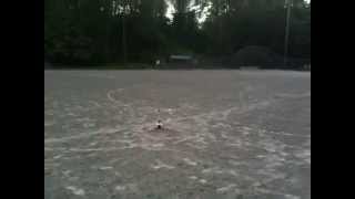 Estes SkyDart Launch #2