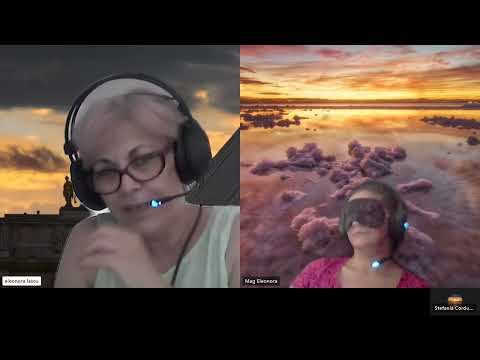 HIPNOZA REGRESIVA.RO-2160.Valentin,Vieti de plati karmice,Implant la intestin E LASCU coord si ELA