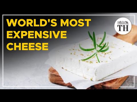 Why is Pule Cheese the most expensive in the world?