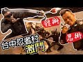 【肌肉忍者】三健客戰隊VS台中上忍團 究竟是下忍還是火影|健人腳勤|2019ep36