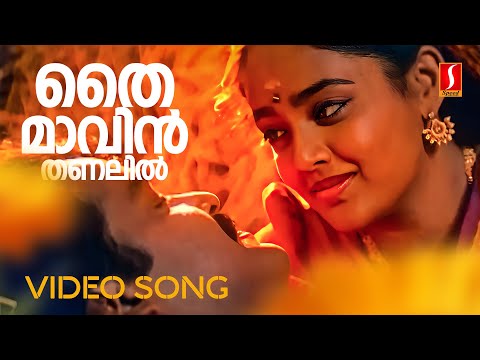 Thaimavin Thanalil Video Song | Oru Yathramozhi | Mohanlal | Ranjitha | KS Chithra | MG Sreekumar
