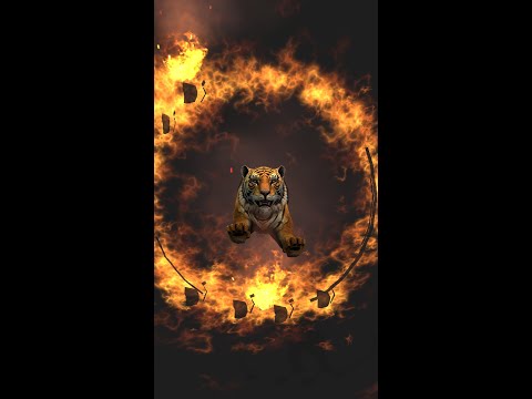 Tiger Animation fire ring - 3D animations