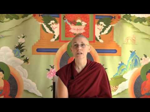 10-19-10 The Fruit of the Flu - BBCorner