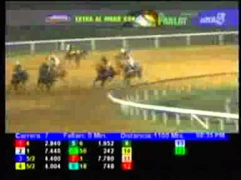 7MA CARRERA MIERCOLES 22 AGOSTO SANTA RITA AUDIOHPISMO