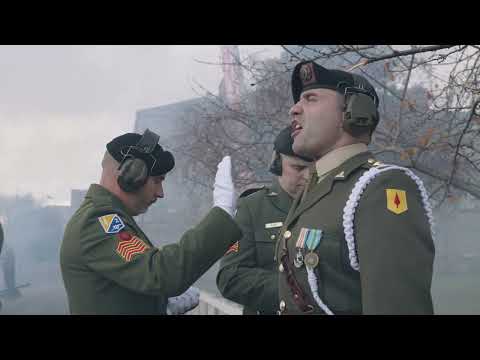 2 Brigade Artillery Regiment 21-Gun Salute on the Inauguration of President Catherine Connolly 