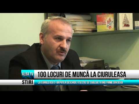 100 locuri de munca la Ciuruleasa