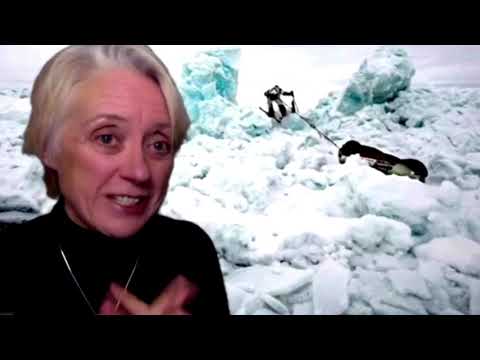 專家稱，北極地區顯示了氣候變化的發展方向 (Arctic shows where climate change is headed, say experts)