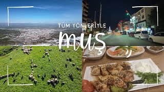 Muş Gezi Rehberi | Muş Nasıl Bir Yer | Muş'ta Ne Yenir Nereler Gezilir? |Tüm Yön
