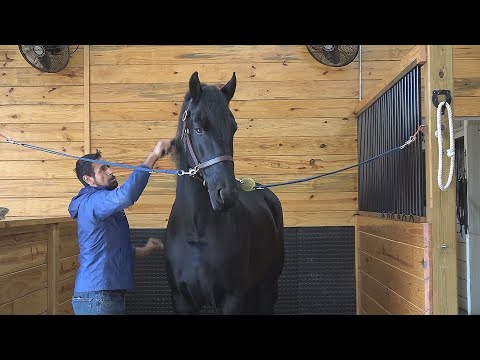 A Day in the Life of Xanadu ISF, 2019