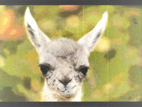 Fukkk Offf - Rave Is King (Dj Antention Remix)