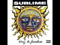 Sublime - We're Only Gonna Die for Our Own Arrogance (Original)