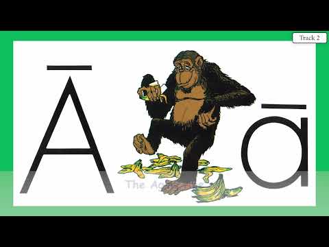 AGING APE 1  INSTRUMENTAL  WITH LYRICS ABC'S WITH ACE AND CHRISTI