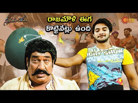 Raghu Babu Shocked by Aadhi’s Pan Game | Sukumarudu Fun Scene | Telugu Comedy scene