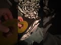 Opening To Sesame Street The Alphabet Jungle Game Dvd 2001