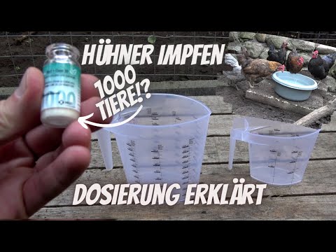 Hühner Tipp 26 - Hühner impfen - Impfpflicht gegen Newcastle Disease