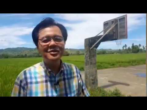 Diyeta upang alisin ang taba ng tiyan Bakit mawalan ng timbang mula cheese