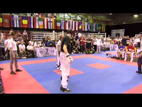 Roman Brundl v Richard Veres Hungarian Kickboxing World Cup 2016