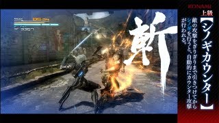 Raiden Gameplay