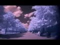 Viza - Keyhole / by Gergedan 