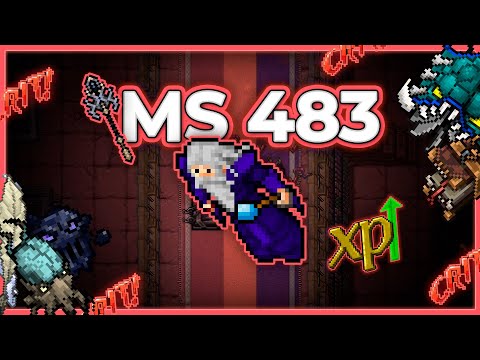 MS 483 Hunt x4 Secret Library Ice Section 21.4kk/h (375% + Prey) - Tibia Hunt #tibia #tibiahunt