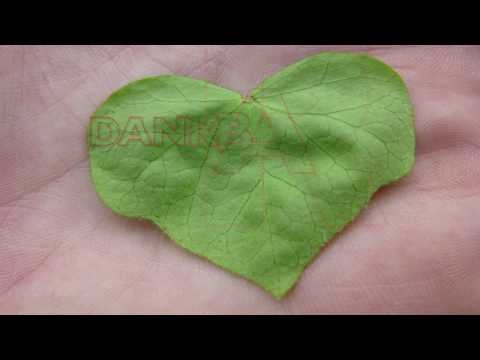 Dankbarkeit - eine Inspiration