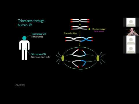 Maureen Lynch, PhD : Cancer Center Symposium Series - YouTube